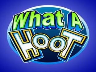 What A Hoot game icon